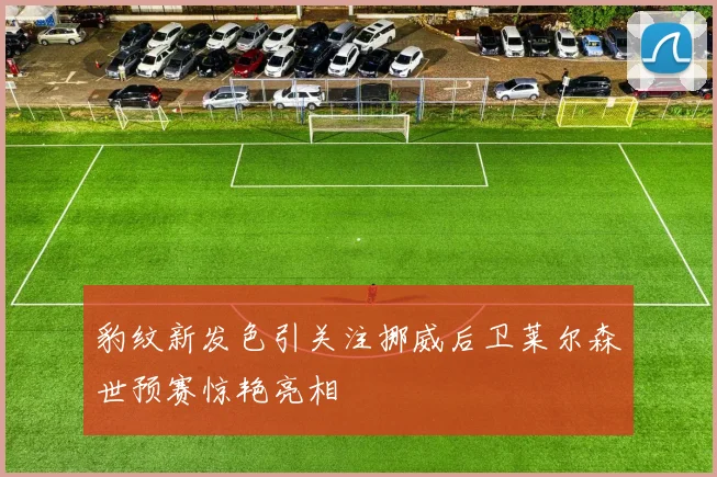 豹纹新发色引关注挪威后卫莱尔森世预赛惊艳亮相