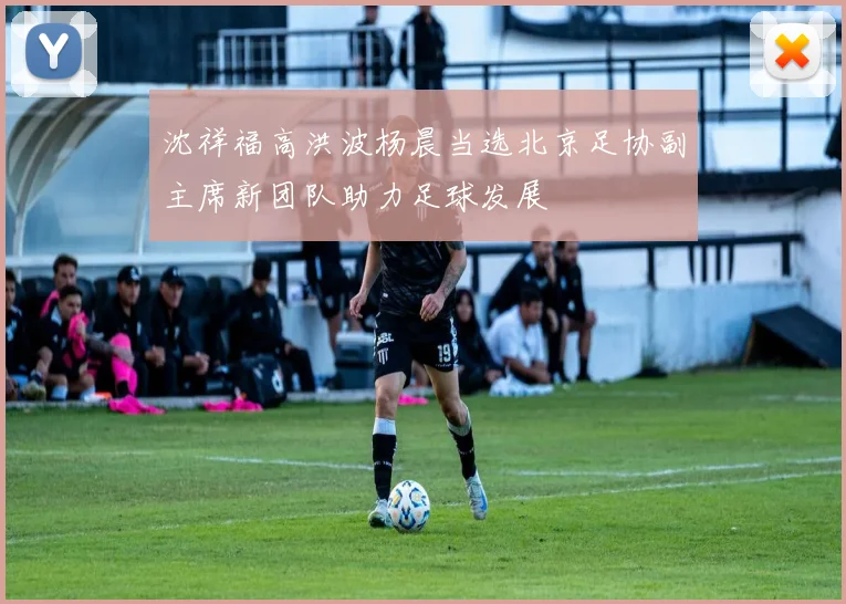 沈祥福高洪波杨晨当选北京足协副主席新团队助力足球发展