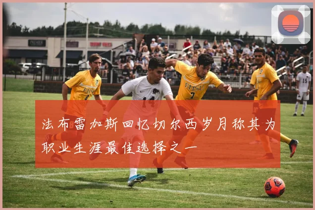 法布雷加斯回忆切尔西岁月称其为职业生涯最佳选择之一