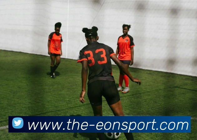 意昂体育平台生态图